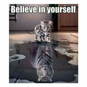 Meet your Posher, Terri